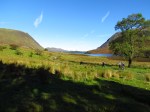WW-Buttermere-09-2012 (2)